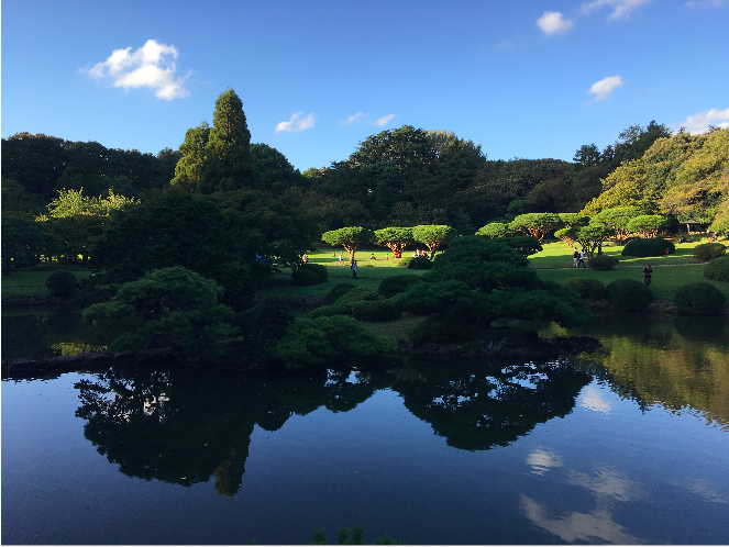 Shinjuku Gyoen National Garden best place to see the Autumn leaves in Tokyo