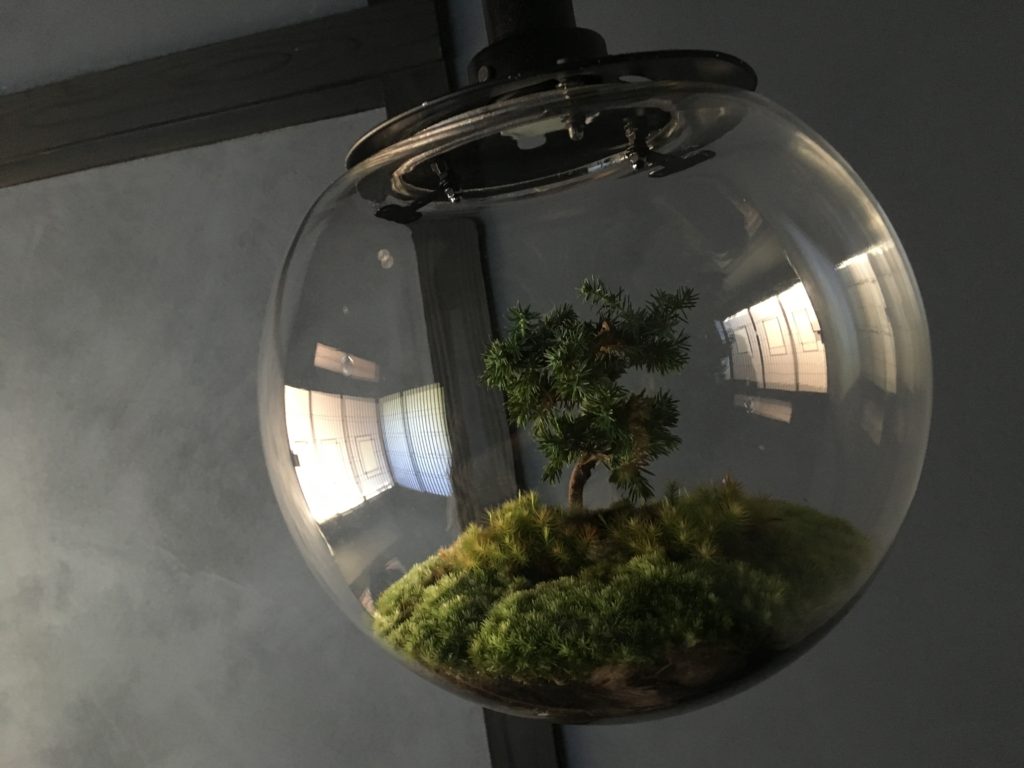 Bonsai installation at Zen Vague Hostel