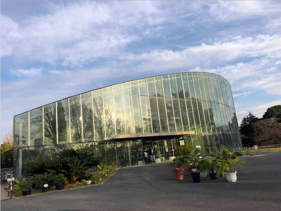 Shinjuku Gyoen Park Greenhouse