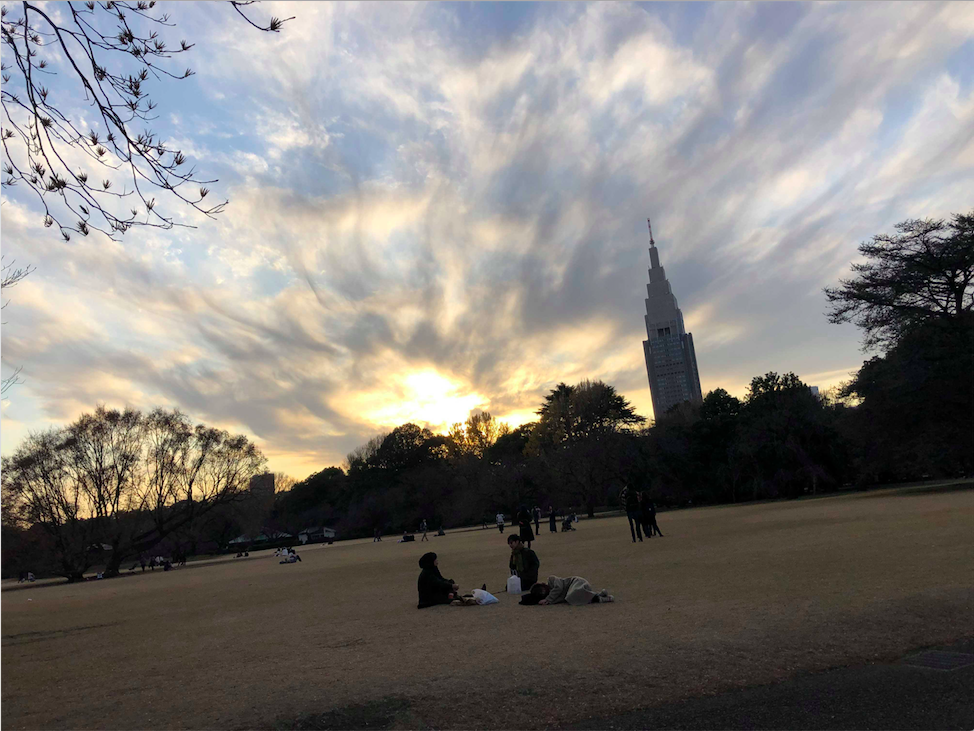 Shinjuku Gyoen Park view at dawn