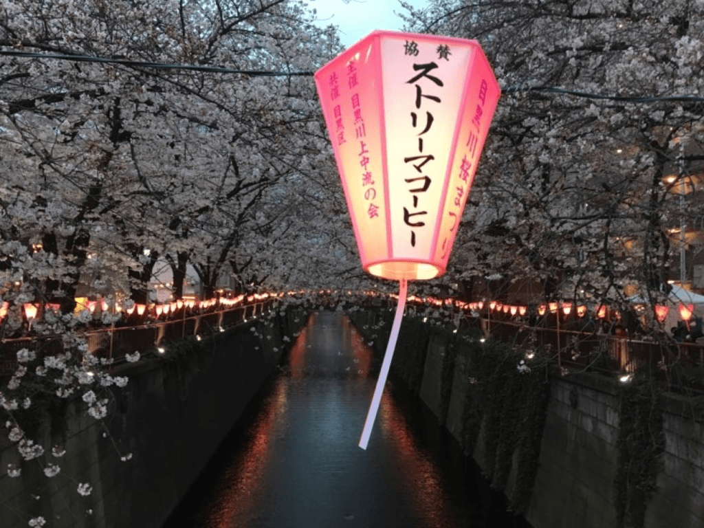Meguro Cherry Blossom Festival view on the river