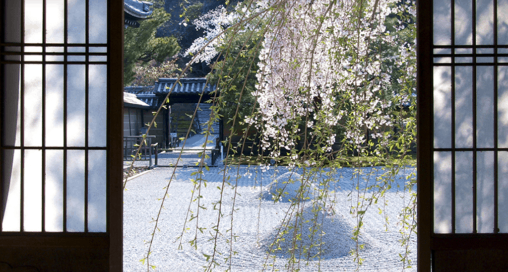 Where to See the Cherry Blossoms in Kyoto: Kodaiji Temple