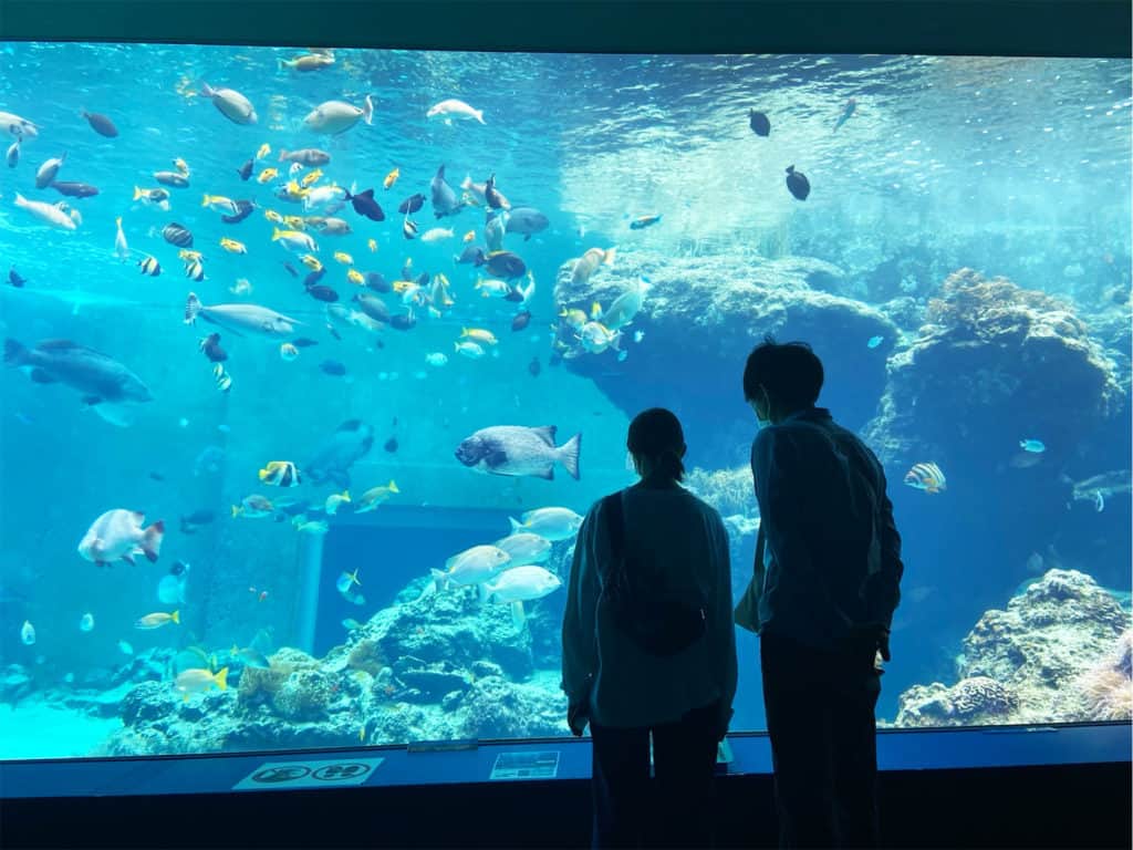 Churaumi Aquarium Fish Tank